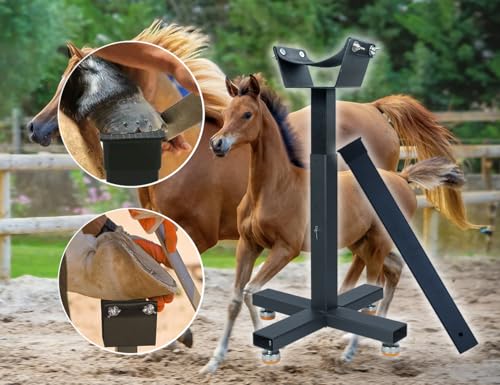 yskjyxgs Suporte para Casco de Cavalo Ferreiro Ferreiro Suporte para Casco de Metal com Altura Ajust