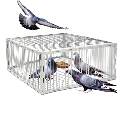 Pigeon Trap Cage with Escape-Proof Design – Auto Bird Trap Cage for Pigeons and Small Birds | Multi-Catch Pigeons Birds Traps for Sale with Well Anti-Rust Baking Paint- L Size