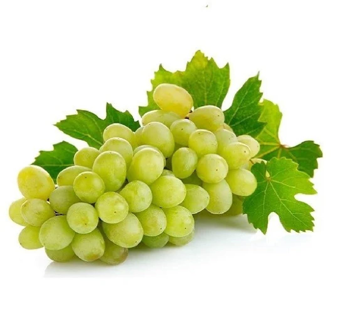 Fresh Grapes Thompson, 500 g