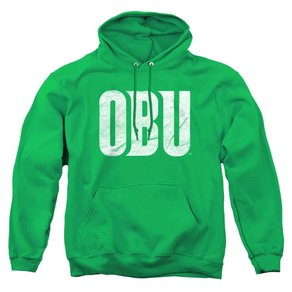LOGOVISION Official Collegiate Distressed Primary Logo Adult Pullover Hoodie Collection — view 524
