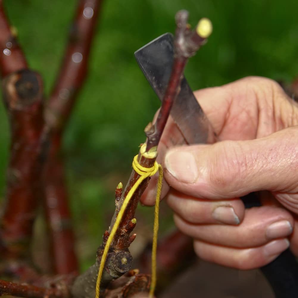 Coltello Da Innesto Pieghevole in Acciaio Inossidabile - Cesoia Da Giardino per Taglio Piante