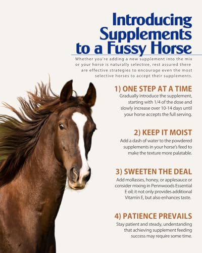 Pennwoods Body Builder Compete: Advanced Horse Weight Gain Supplement, Designed for Competition and Sale, 11lb Bag - Thumbnail 7