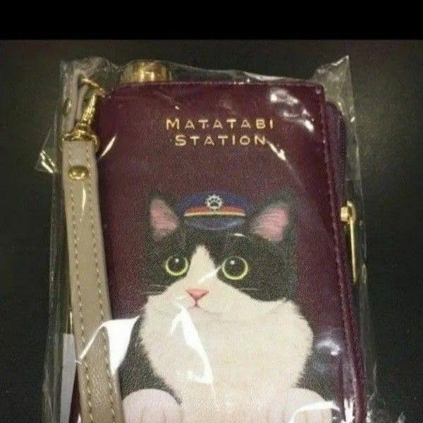 ゲンガー 第3弾拡張パック 化石の秘密 旧裏 psa 7 カード ポケット