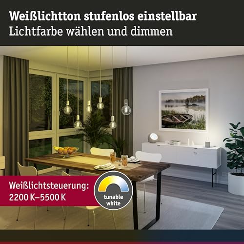 Ampoule LED Globe E27 connectee pour ambiance chaleureuse salon Paulmann - 4