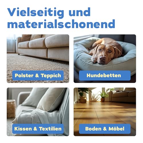 bio-chem Hunde Geruchsentferner Spray 750 ml - Enzymreiniger mit Mikroorganismen - Geruchsneutralisierer gegen Hundeurin Geruch - Entfernt Gerüche aus Sofa, Teppich, Polster nachhaltig - Made in DE