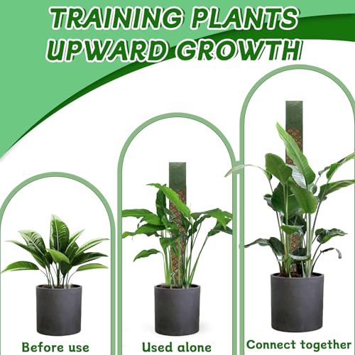 Moosstab für Monstera Rankhilfe Zimmerpflanzen Rankhilfe Monstera Pflanzstab Rankstäbe Plastik Mit Pflanzen Gießhilfe Kabelbinder für Gartenbepflanzung Efeutute Pflanzenunterstützung (Dunkelgrün)
