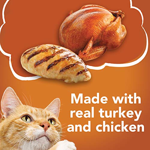Purina Friskies Gravy Wet Cat Food Variety Pack, Turchicken Extra Gravy Chunky, Meaty Bits & Shreds - (40) 5.5 Oz. Cans #TOP3