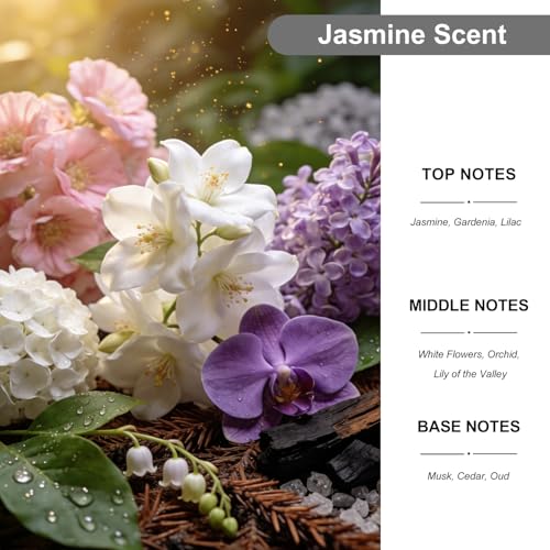 Image of 2-Pack Car Air Fresheners, Car Deodorizer, Jasmine Scented Air Freshener Long Lasting Hanging Car Air Freshener for Men and Women, Car Scent Diffuser by VUTOLLOSA