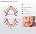 Bebé Dientes Caja(Niña), PRIMEHARUI Caja de Dientes, Dientes de Leche en Español,...