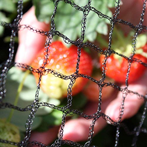 Tech-Garden - 2 m x 5 m - Anti Bird Netting Heavy Duty for Ponds Fruit Trees Crop Plants Vegetables...