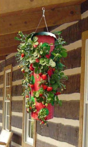 TT091112 Topsy Turvy Strawberry Planter