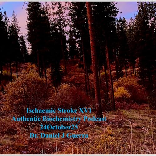 Ischaemic Stroke XVI Authentic Biochemistry Podcast 24October25 Dr. Daniel J Guerra