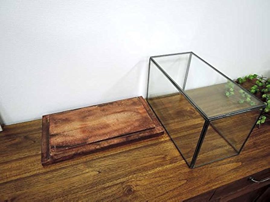 Amazon.co.jp: ガラスコレクション ディスプレイケース ショー