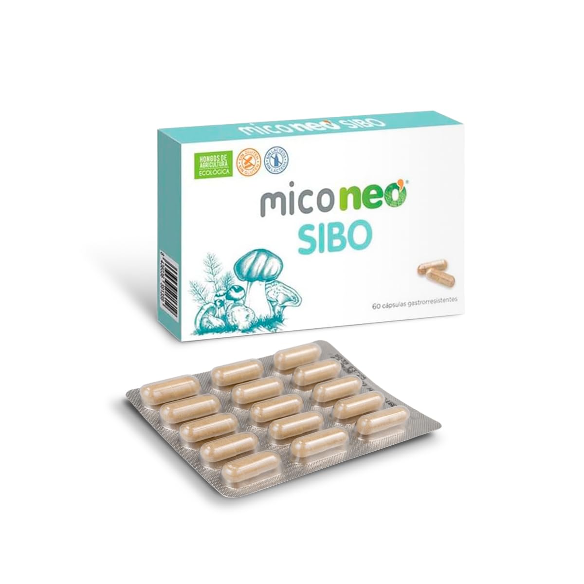 MICONEO Complemento Alimenticio con Melena de León y Saccharomyces boulardii