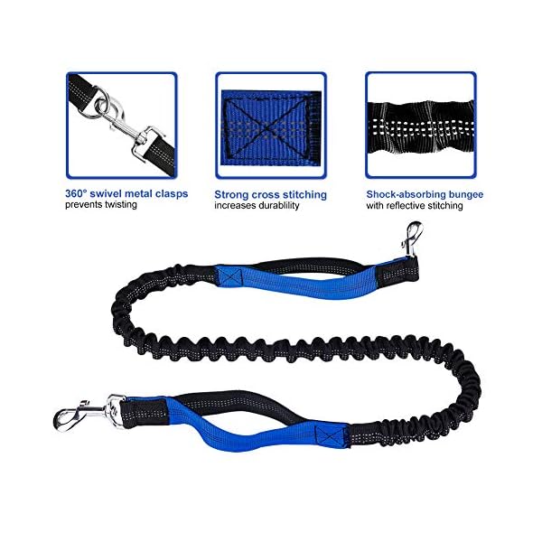 Hands Free Dog Leash for Walking Buy Online