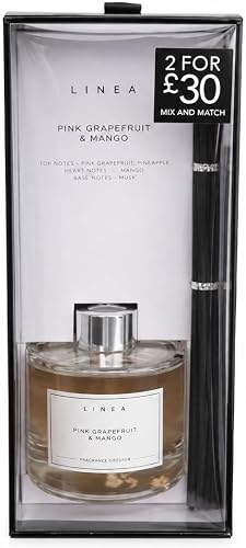 AT06-01 Lemongrass and Fresh Ginger Reed Diffuser Aromatherapy 200 ml