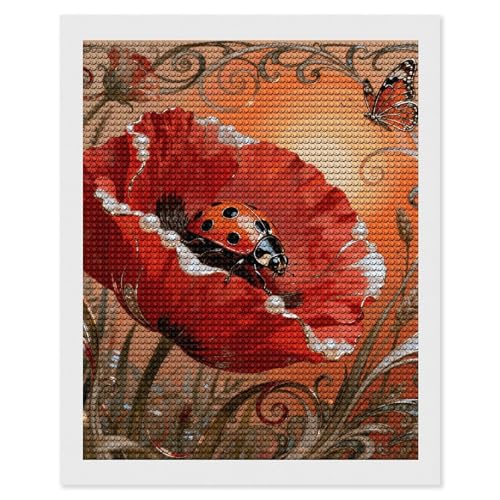 Kit de peinture diamant 5D coccinelle maccbn avec broderie diamants adulte pour loisirs créatifs