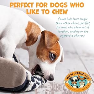 6″ Braided Camel Sticks – Long Lasting Dog Chews for Aggressive Chewers – Rawhide Alternative, Grain free, One Ingredient Dog Treats – Great for Dog Dental Care – (10 pack)