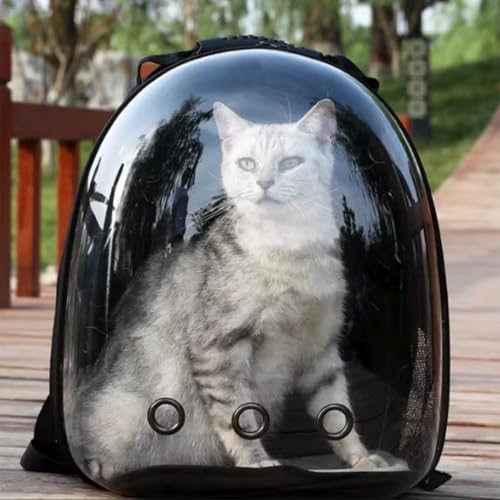 Mochila para gatos transpirable con base rígida estable 5