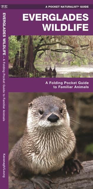 Everglades Wildlife: A Folding Pocket Guide to Familiar Animals