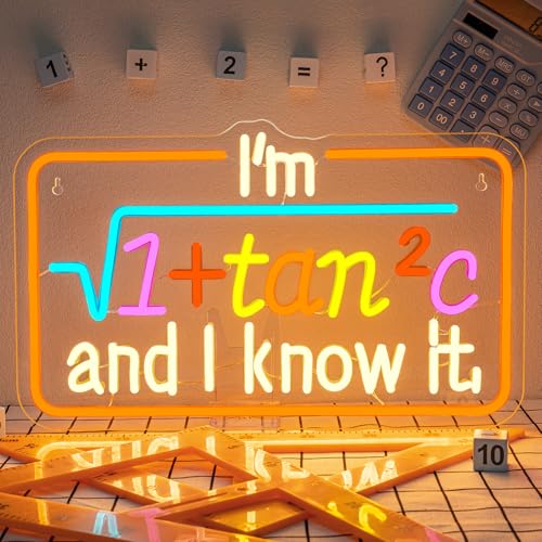 Image of Math Formula LED Neon Sign Colorful Light Up for Classroom Wall Decoration