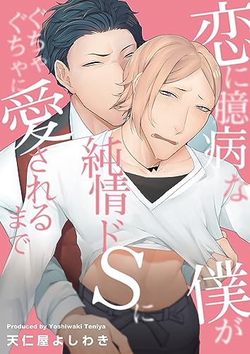 恋に臆病な僕が純情ドSにぐちゃぐちゃに愛されるまで(1) (ボーイズファン)