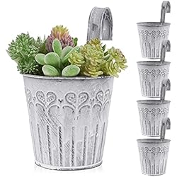 Maceteros Largos Para Colgar BOFUNX 5 Maceteros Colgantes de Hierro de Metal Macetas Pequeñas Colgar con Gancho sin Orificio de Drenaje de Estilo Retro Vintage para Decoración Exterior Balcón Jardín Patio Pared Terraza