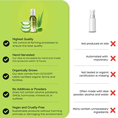 Aloderma Firming Face Serum With 64% Organic Aloe Vera, Plumping Serum For Face With Hyaluronic Acid, Aloe Facial Firming Serum To Diminish The Appearance Of Fine Lines, Wrinkles, Natural Facial Serum #TOP5