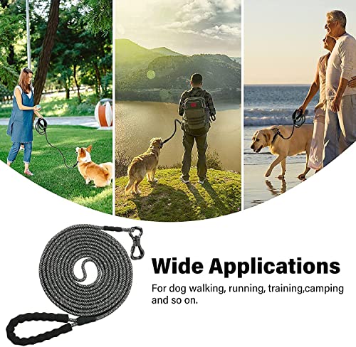 Ntr 10Ft Training Leash For Dog,Reflective Nylon Rope Leash With Swivel Lockable Hook And Comfortable Handle,Puppy Leash Lead For Small Medium Large Dogs Training,Playing,Camping,Or Backyard #TOP5
