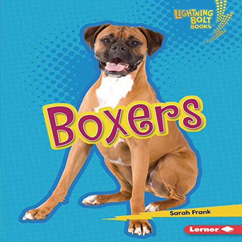 Boxers by Sarah Frank episode artwork