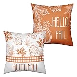 Design innovant : les housses de coussin décoratives en feuilles d'érable orange brûlé dans de nouveaux styles de vie, les housses de coussin en feuilles d'érable orange brûlé avec une saveur artistique, les housses de coussin modernes et les housses de coussin en feuilles d'érable orange brûlé, qui peuvent apporter un style différent et tendance à votre maison