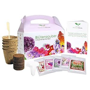 Magic of Nature Geschenk Anzuchtset – Blütenzauber 5 Kontinente Box – zum Selberzüchten