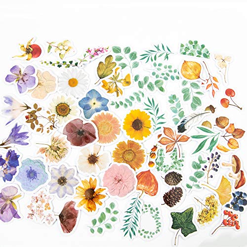 Molshine 274pcs Decorative Stickers- Forest Fruit Plant Flower Series Decals for DIY,Personalize,Bullet Diary Decoration,Laptops,Scrapbook,Luggage,Cars,Books,Sealing -6 Packs
