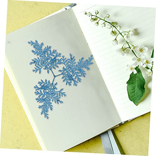 COHEALI 240 Peças Flores Secas Em Relevo Flores Prensadas Folhas Secas Artesanais Folhas Secas De Sa