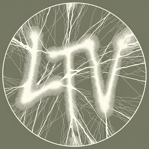 『Lichen The Vibe』のカバーアート