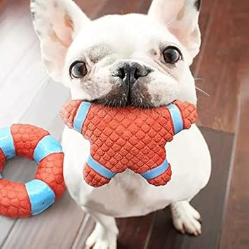 EETOYS Petlicious and More Dog Latex Squeaky Star Toy (Medium)