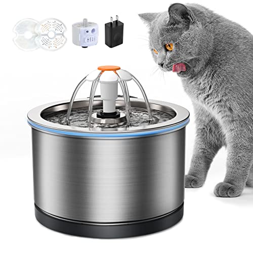 Best Cat Water Fountains Best Cost