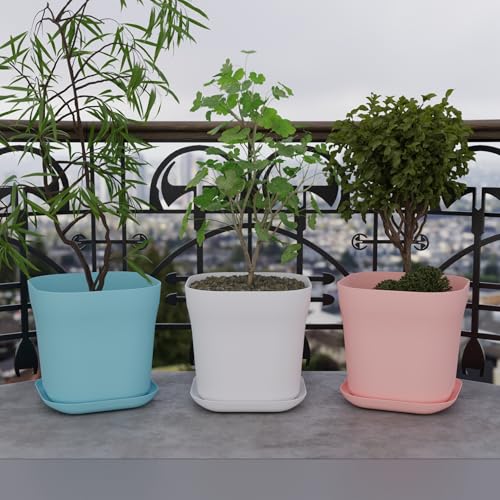 Image of StyleX Store Pack of 3 Square Plastic Flower Pot with Tray | Modern Indoor Outdoor Planter for Home Balcony Garden Office | Durable Lightweight Planter Pot | 6 Inch, Multi