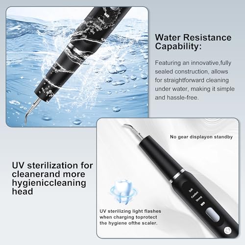 Image of Dog Plaque Tartar Remover for Teeth - Electric Pet Toothbrush with 2 Replacement Cleaning Heads, Adjustable 3 Modes Dog Toothbrush Teeth Cleaning Kit for Pet Cat (Black)