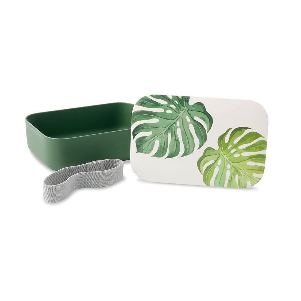 BIOZOYG 24x PLA fiambrera caja decorativa, contenedor biodegradable para llevar, jardín de infantes 18,8x12,5x6,3cm