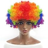 Everfun Fluffy Afro Short Curly Wig for Women Men Cosplay Anime Party Christmas Halloween Fancy Funny Clown Wigs Synthetic Hair (Rainbow)
