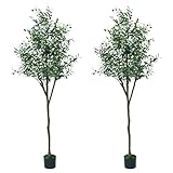 Artificial Olive Tree, 6ft/71'' Tall Large Fake Silk Tree Plants for Modern Living Room Home Office