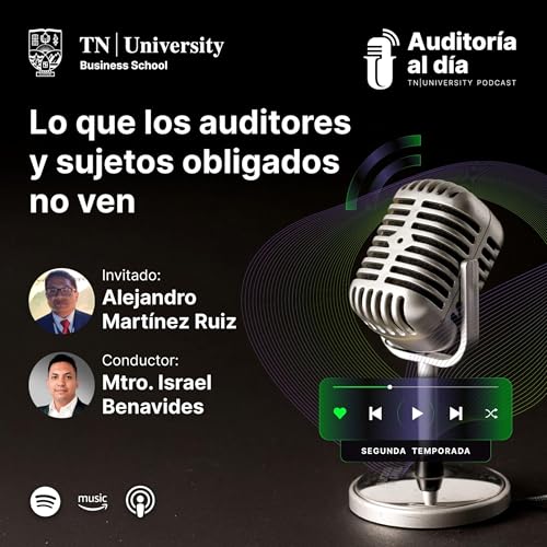 20 - LO QUE LOS AUDITORES Y SUJETOS OBLIGADOS NO VEN