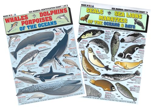 Image of Sea Mammal Identification Set (Whales, Dolphins, Porpoises, Seals, Sea Lions, Manatees) - Waterproof Quick Reference Guide | Portable & Built to Last | Double-Sided & Easy to Read | Portable Reference Cards, (Whales, Dolphins, Sea Lions, Seals, Manatees), Double-Sided, Perfect Boating Gift for Beginners