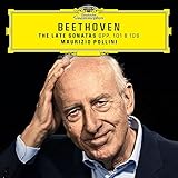 �x�[�g�[���F��:�s�A�m�E�\�i�^ ��28��&��29��