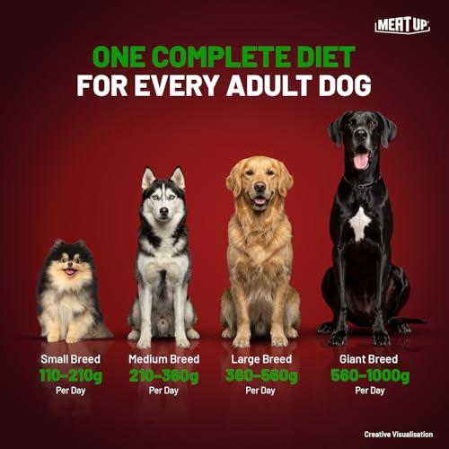 Image of Meat Up Adult Dry Dog Food 6kg (3kg + 3kg) | 100% Vegetarian | Supports Healthy Skin & Beautiful Coat | Rich in Antioxidants | Enriched with Vitamins & Minerals