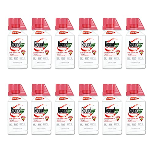 Best PetFriendly Weed and Feed