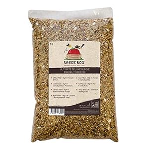 Budgie Food Seed Feed Mix 1kg – Natural Healthy Treats and Snacks for Pet Budgerigars – SeedzBox – Red Millet, Canary…