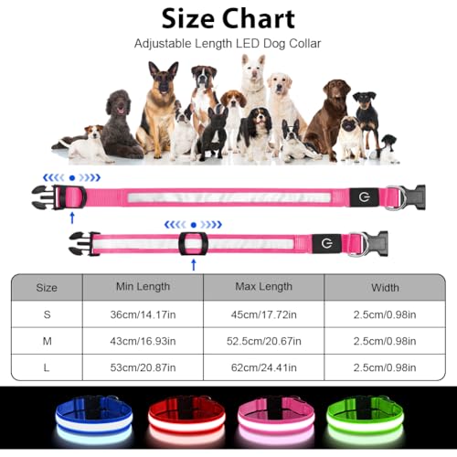 AUAUY Light Up Dog Collar, Type-C Port Charging LED Dog Collar Light - Image 2