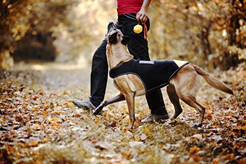 Julius-K9, IDC Neoprene Hundekleidung, Size: M, Schwarz und Gelb